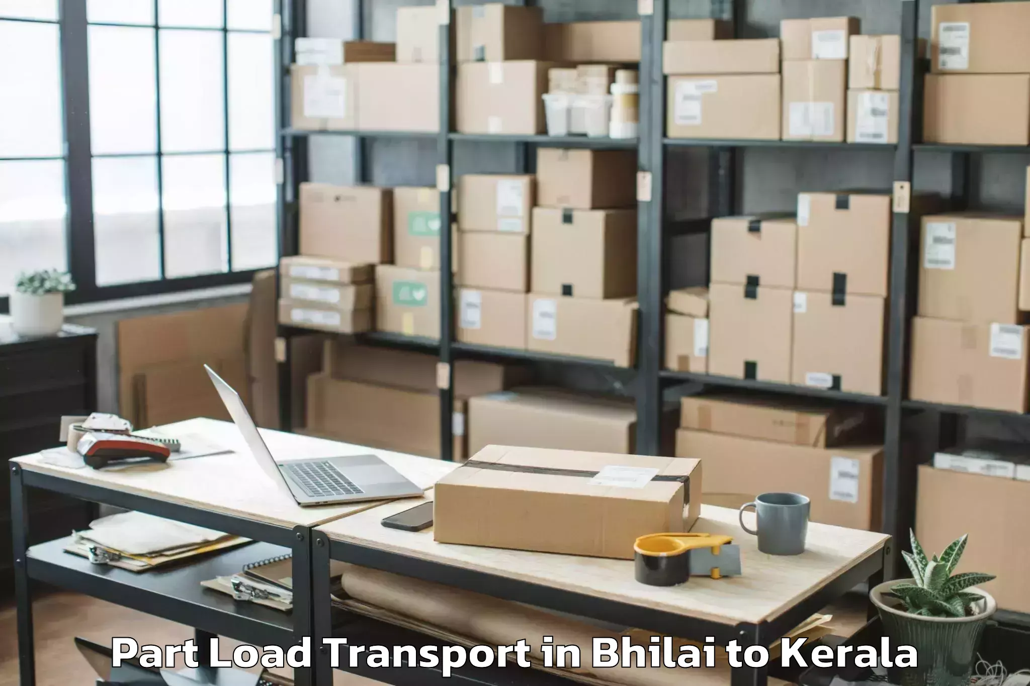 Expert Bhilai to Thrissur Part Load Transport